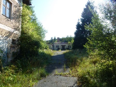 Foto 42